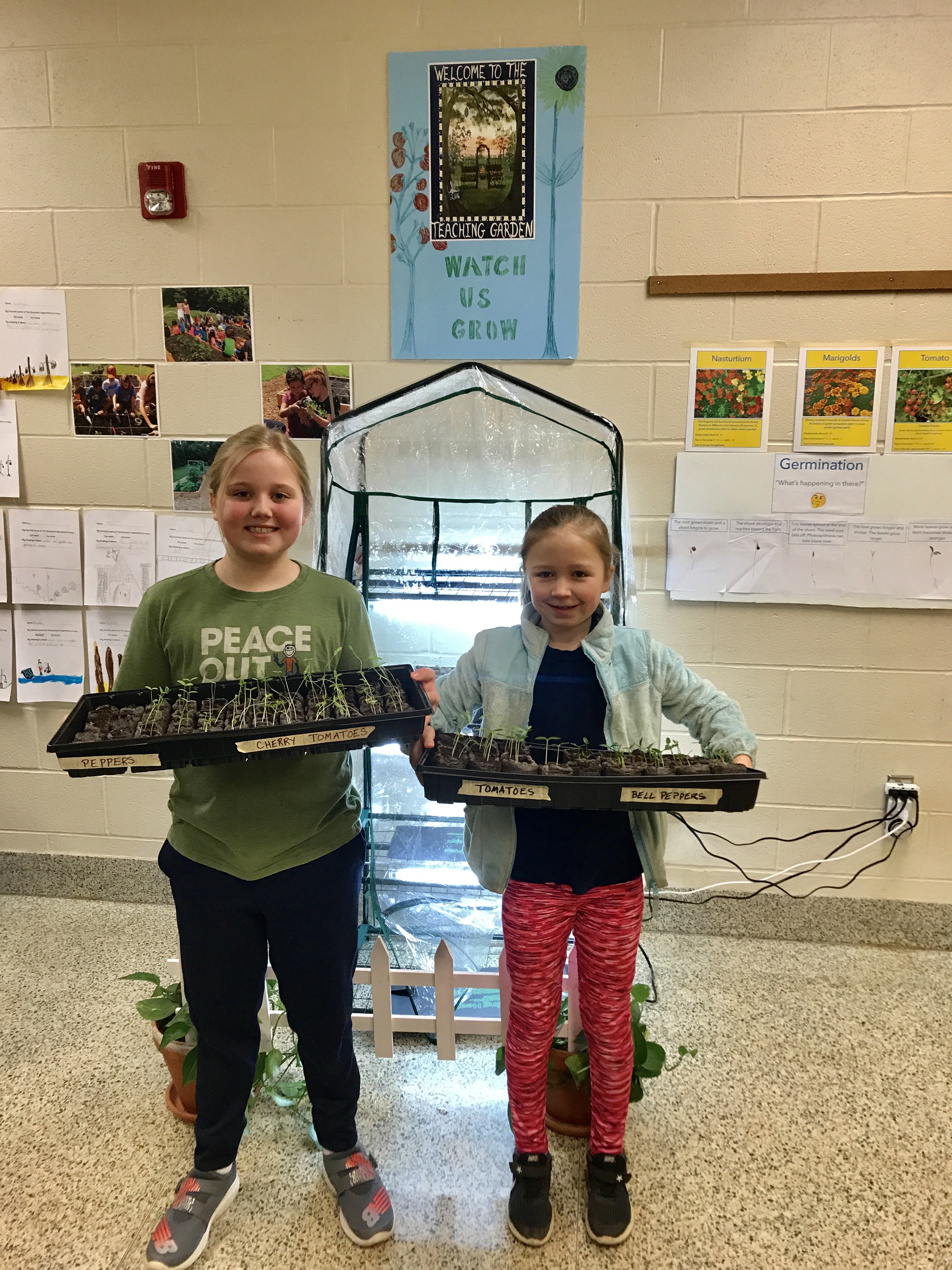 Third graders display starter seeds for garden.