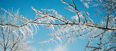 Friday Night Games, Weekend Activities Canceled