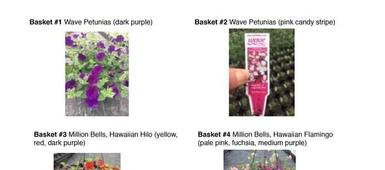 Skaneateles HS PTC Plant Sale Now Underway