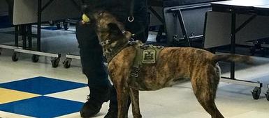 'Star of the Week' Welcomes K-9 Unit to Waterman