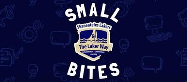 Small Bites: World Languages & the NYS Seal of Biliteracy