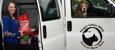 English assignment helps local SPCA